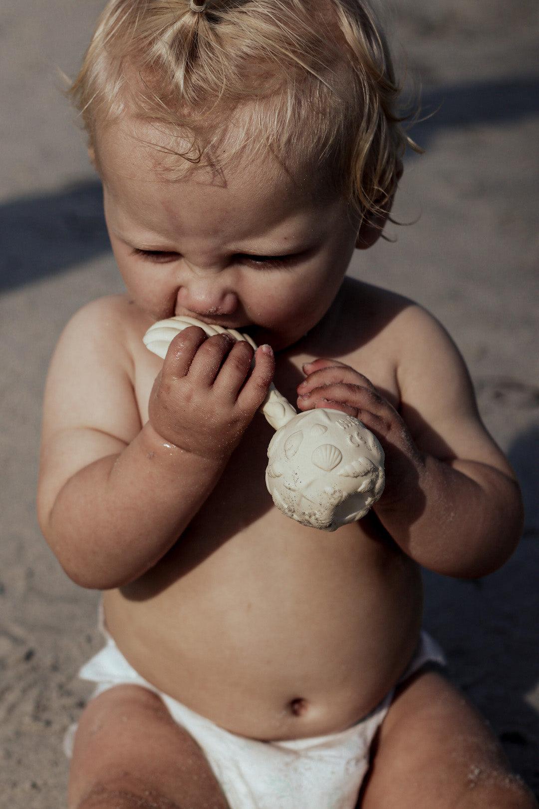 Muschelrasseln