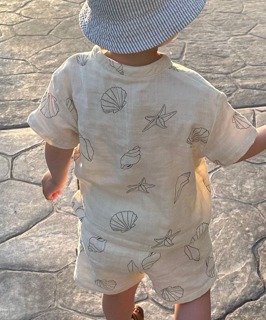 Seashell t-shirt